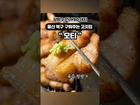 상위 0.3% YBD 프리미엄 돼지고기 맛집 모티 #모티 #고기집 #고깃집 #울산 #맛집