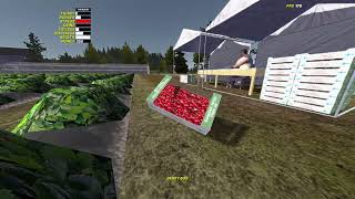 how to get 1000 strawberrie bage FAST XD