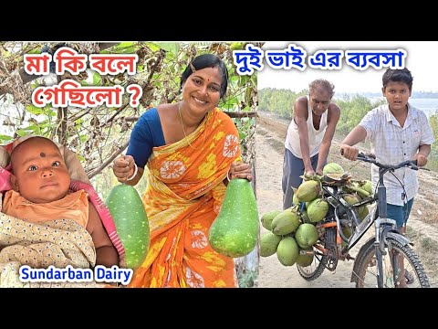 মায়ের কথা মতো সুস্মিতা কাজ করলো! বাবার ব্যবসা কেমন চলছে! Sundarban Diary 