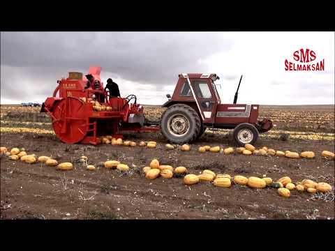 , title : 'Kabak Çekirdeği Çıkarma Makinası'