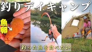釣りデイキャンプしようと思ったら、魚卵が出てきたので醤油漬けイクラにして食う【30代独身男性の休日】