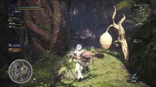 （MHW)トビカガチにめっちゃはたきおとされたw