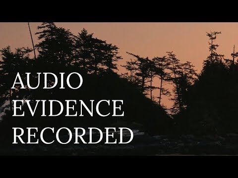BIGFOOT AUDIO RECORDED | A New Encounter on Ape Island | MBM 127