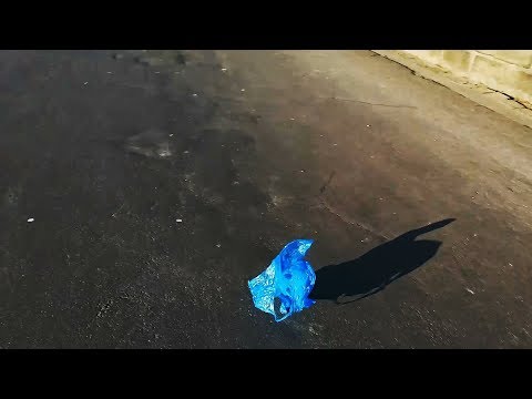 Little Baggy / A Short Film by Kuesti F, 2018