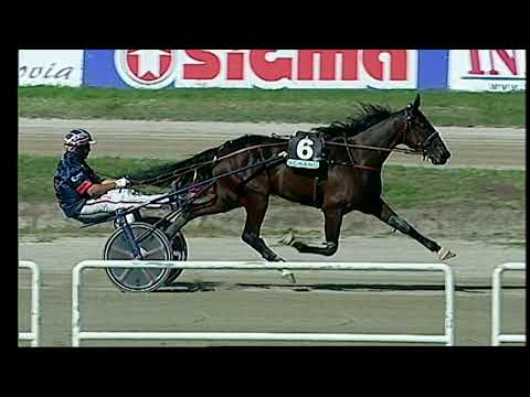 Napoli Trotto 08/10/2022 - 1ª corsa