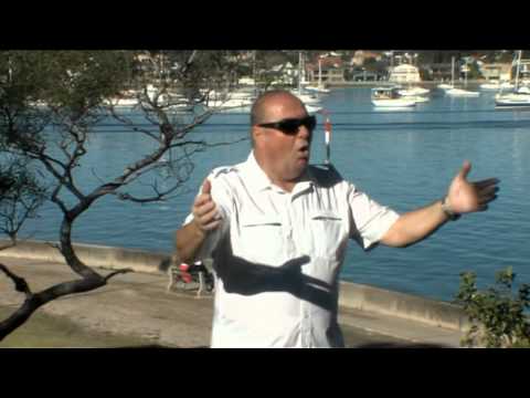 Goce Angelevski - Vo Tebe Ziveam Makedonio