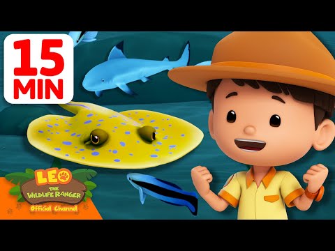 Underwater Rescue for the Stingray! 🪼 | 15 Min | Leo the Wildlife Ranger | #animals