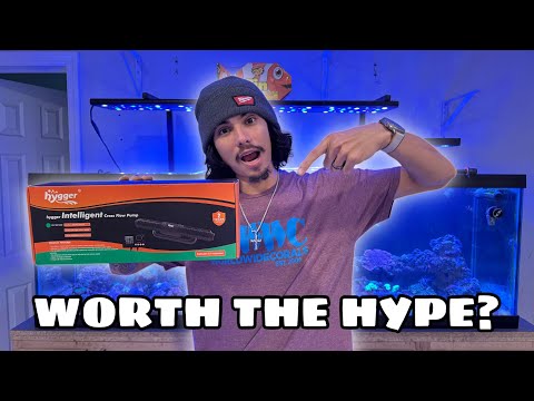 IS HYGGER WORTH THE HYPE ?| HG166 |