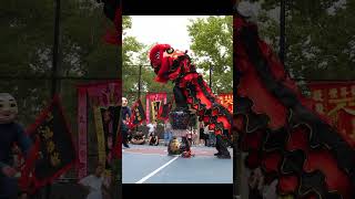 Download lagu American Dragon & Lion Dance Festival mua lan tarian singa barongsai 舞獅 舞狮 mp3