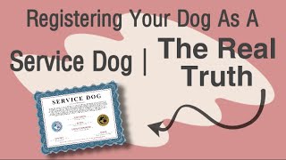 Registering Your Dog As A Service Dog | The Real Truth