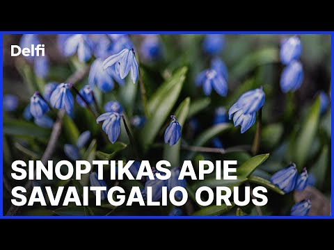 Savaitgalio orų prognozė: sugrįžta vasariška šiluma