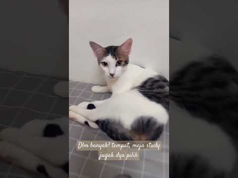 Mubin and his favourite place