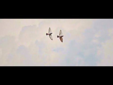 NAS VSEGDA BYLO DVOE