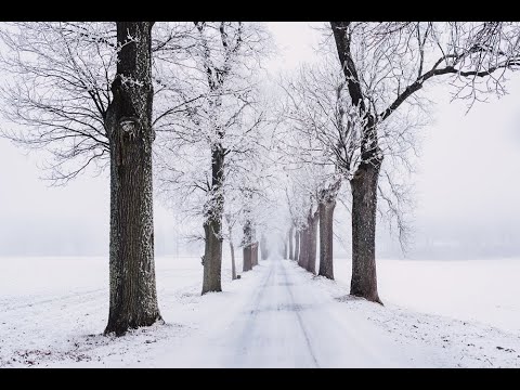 Ah, dragostea Ta mi-a strapuns inima 16 februarie