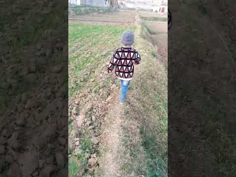 #friday #villagelife #islamic #nature #cute #viralshort #love #lifedoodle #short #mostpopular #veiws