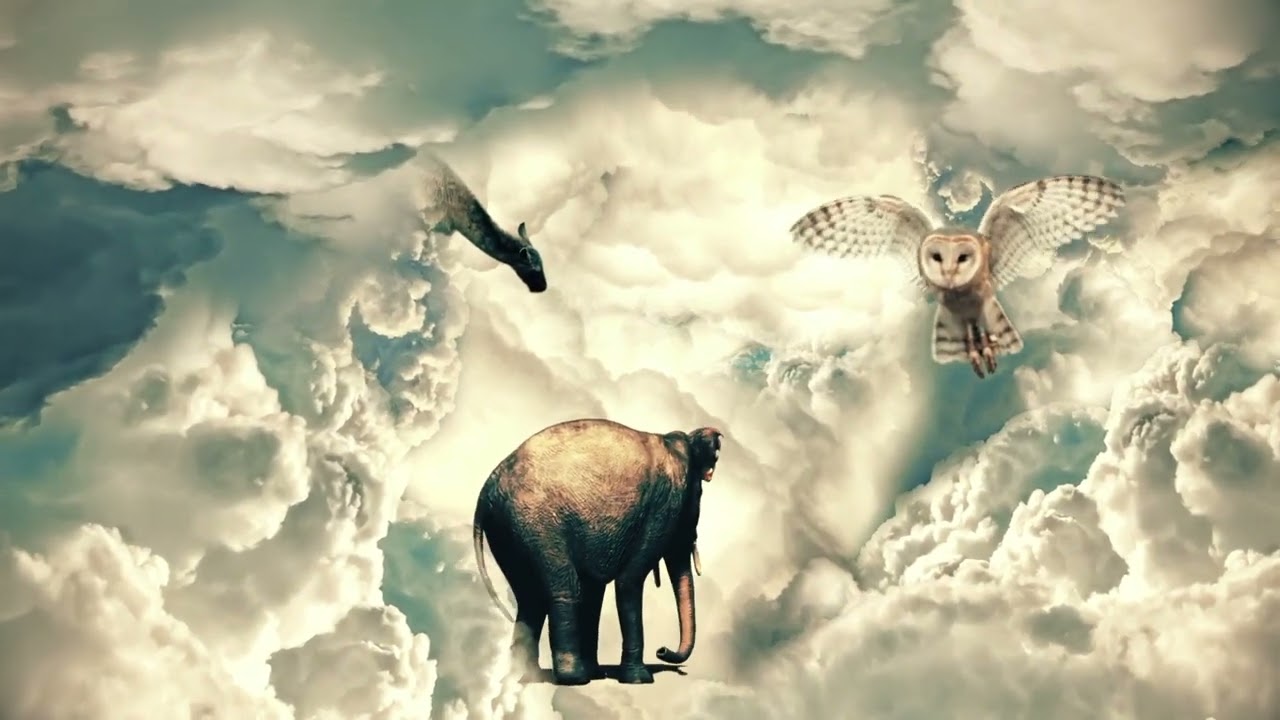 [official] Lala(Demo) from Mirror in Mirror