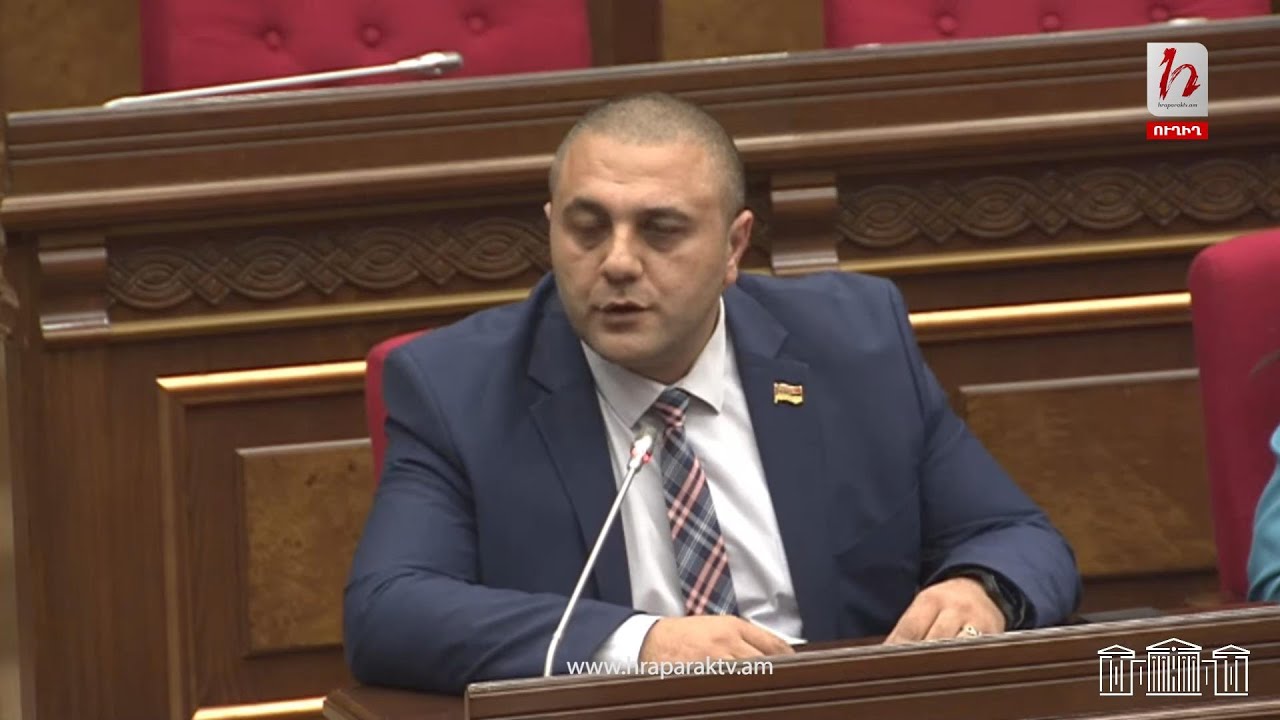 Շիրակի մարզի թափառող շների թեման ԱԺ-ում․ Սանոսյանը հայտնեց՝ հարցը սուր է, բայց ոչ միայն այդ մարզում