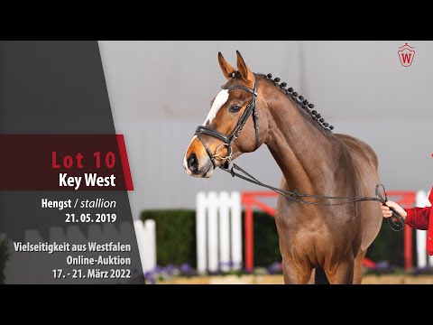 Vielseitigkeit Online-Auktion: Lot 10 Key West Hengst v. Kalaska de Semilly - Christiano