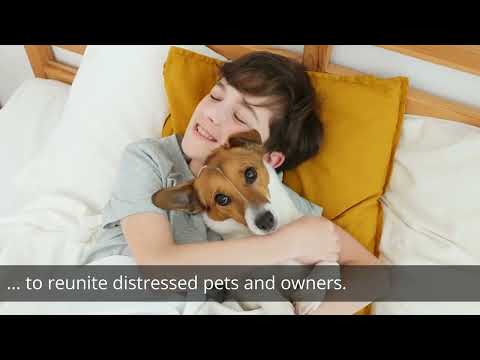 Lost~Found~Adopt