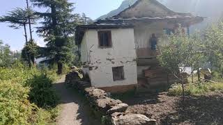 preview picture of video 'A morning walk in the mountain village of Jibhi, Himachal Pradesh'