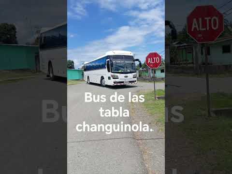 bus las tabla changuinola. Bocas del Toro