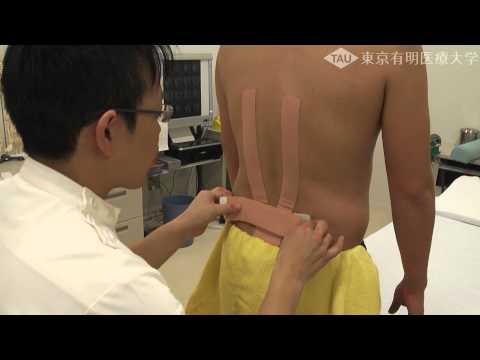 腰痛のテーピング 【東京有明医療大学 附属接骨センター】