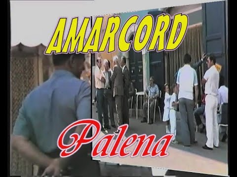 Amarcord Palena 1986 - 1989 di Nando Napoleone
