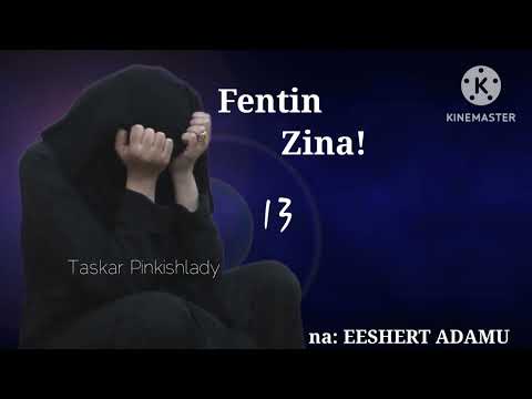 FENTIN ZINA..13
