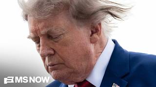 'Sustained bedwetting': GOP fears Trump may ‘drag them down hard’ in midterms