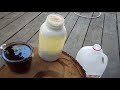 Follow up on how to make your own EM1 effective microbes serum. DIY done cheap Follow up on how to make your own EM1 effective microbes serum. DIY done cheap