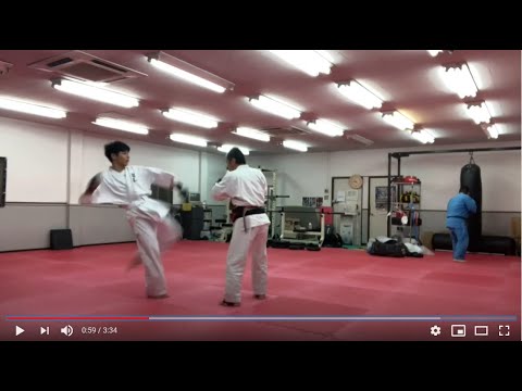 Kudo practice : Pad training   空道の稽古：ミット練習