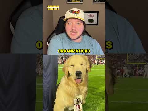 Kirk Herbstreit's Dog Peter Has His Own Merch Line Now