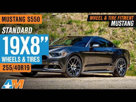 Mustang S550 | Standard 19X8" | 255/40R19 | W&T Fitment