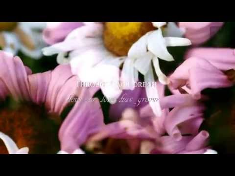 I LIKE DREAMIN' - Kenny Nolan