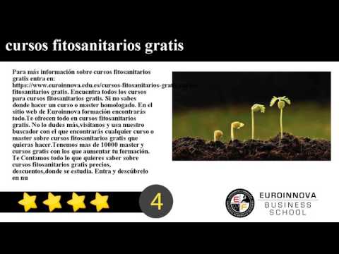 Cursos Youtube Online Euroinnova