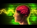 Rewire & Evolve Your Brain - Dr. Joe Dispenza