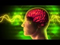 Rewire & Evolve Your Brain - Dr. Joe Dispenza ...