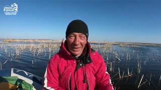 Рыбалка на куршском заливе