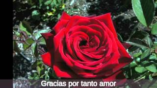 Gracias por tanto amor - Joan Sebastian