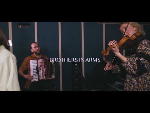 Hayde Bluegrass Orchestra - Brothers In Arms (Dire Straits Cover) | The Anti-War Sessions