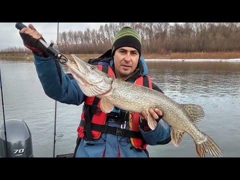 Впервые попал на такую Рыбалку. Новичкам везёт!