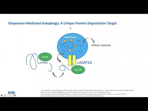 Targeting Aging Biology to treat aging related diseases  by Joan Mannick