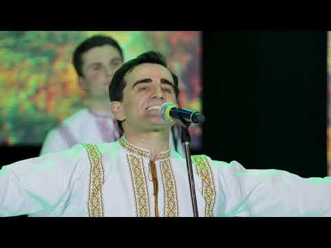 Nicolae Gribincea și Ansamblul etnofolcloric Plăieșii - Frunză verde trei alune