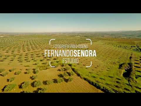 Fotografía publicitaria de aceite de oliva | Sesión para Arbonaida en Córdoba
