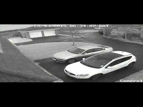 Langley Park Low Life - Part 1