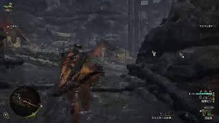 夫婦でモンハンやるよー