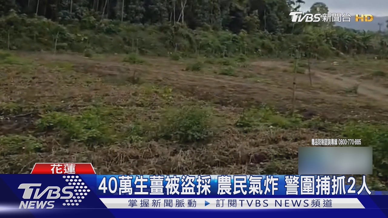 影音/吸毒缺錢動歪腦筋!2嫌闖薑田「搬走2500台斤」害農損40萬