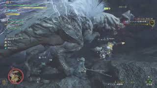 【モンハンワイルズ】配信０４