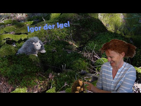 Igor der Igel (~Singvogel.at) | Kinderlied Cover