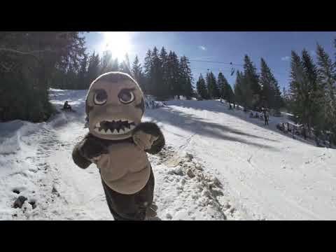 Stash Gathering 2017 Avoriaz